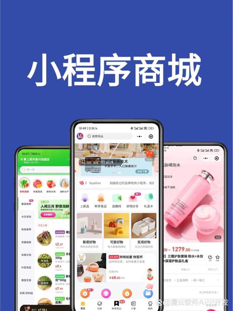 APP开发